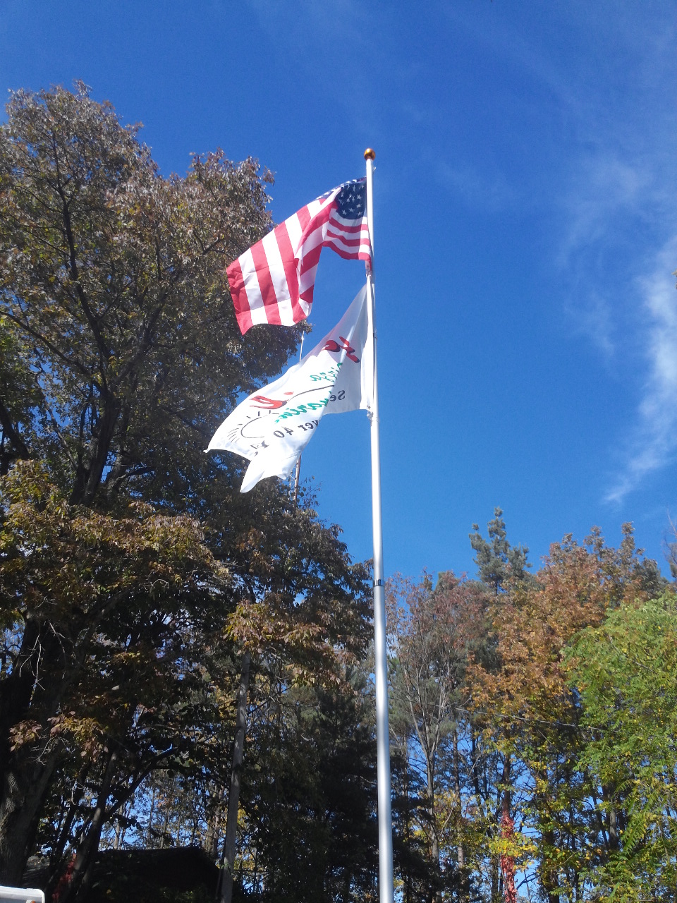 20 ft. Telescopic Aluminum Flagpole Product Details